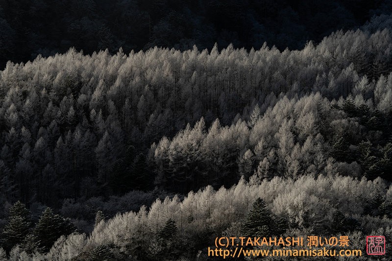 ../Images/7R251129 (84).jpg